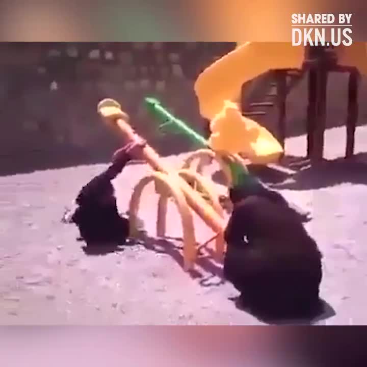 Trò chơi ngày bé
