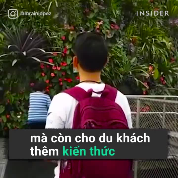 Thác nước trong nhà cao nhất thế giới ở Singapore