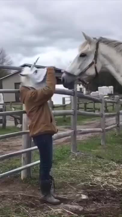 Khi cô gái cởi mặt nạ thì...