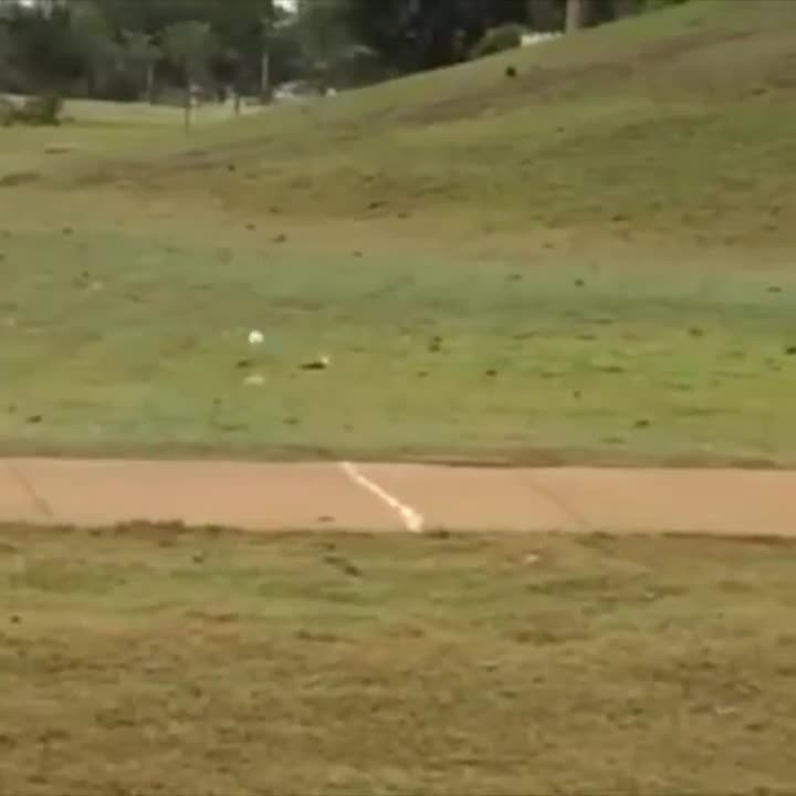 Trái bóng golf này chơi như thế nào vậy nhỉ?