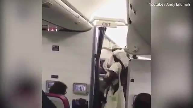 Nghi lễ tâm linh trước khi ngồi vào ghế máy bay của nhà vua Nigeria