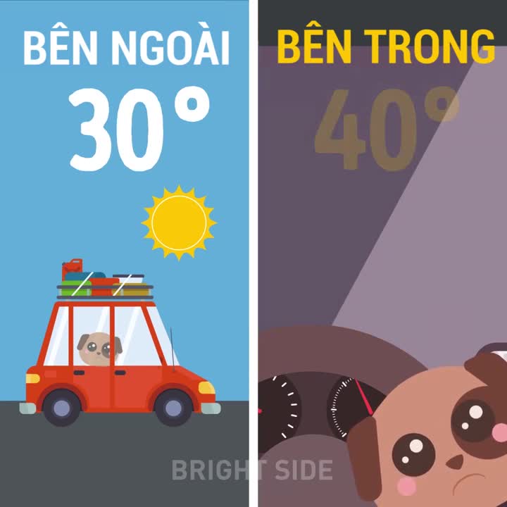 Nhiệt độ trong ôtô ngày nắng nóng nguy hiểm như thế nào?