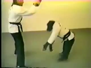 Chú khỉ đánh karate cực chất