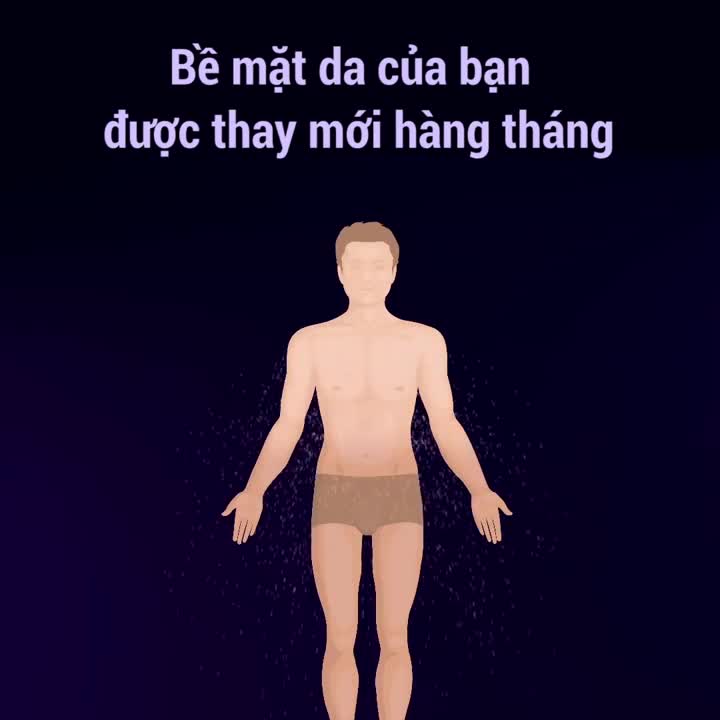 Cơ thể con người thay đổi như thế nào suốt cuộc đời?