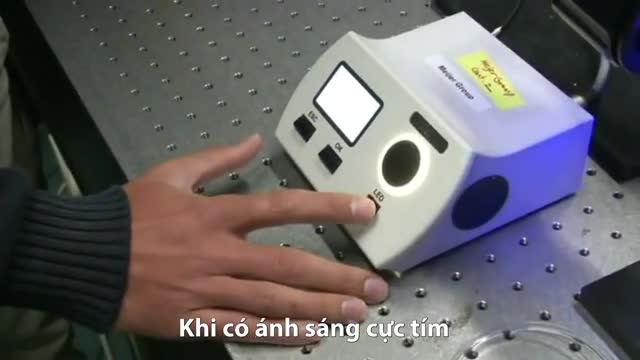  Miếng nhựa có thể "bò" như sâu khi được chiếu bằng ánh sáng cực tím