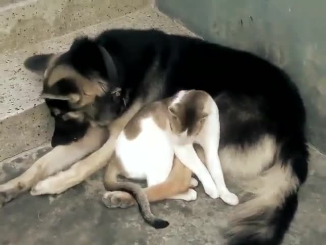 1 gia đình đặc biệt!