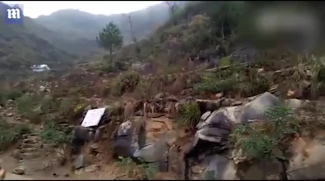 Trung Quốc đàn gà bay ào ào như chim khi nghe thấy tiếng còi