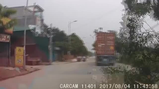 Cô gái suýt gặp nạn vì container đâm gãy cành cây to