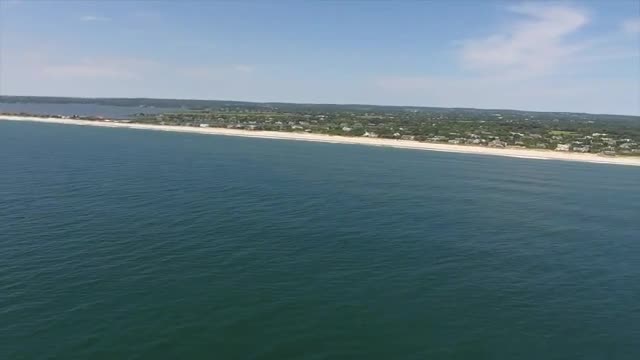 Cá mập thưởng thức 'đại tiệc' cá ngoài khơi bãi biển Hamptons