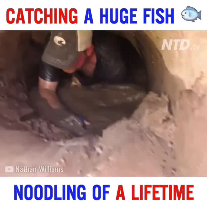 Có ai đã từng bắt được cá lớn như thế này chưa?
