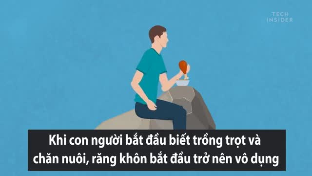 Những bộ phận cơ thể người trở nên vô dụng do tiến hóa
