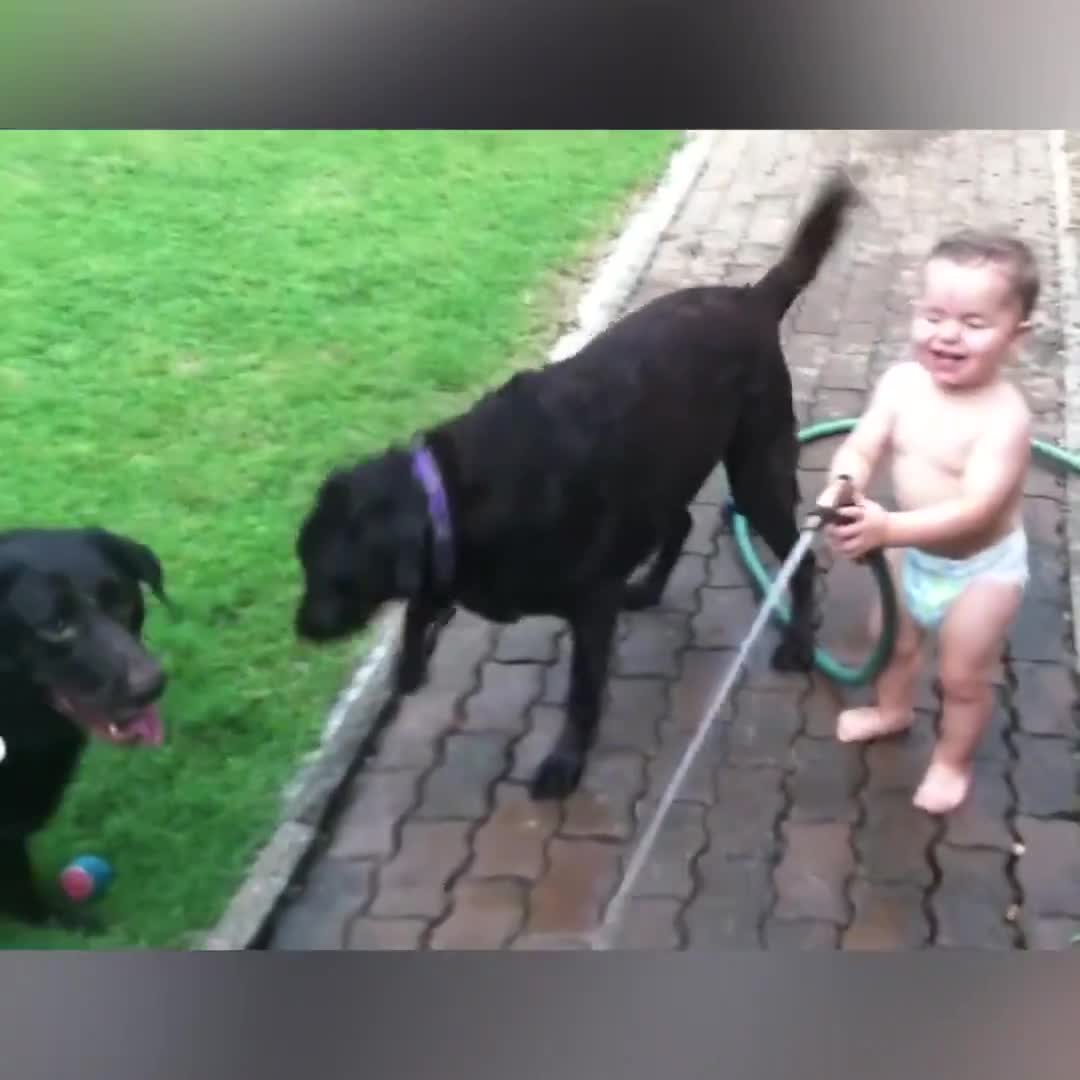 Ôi, ai cũng đáng yêu hết! 