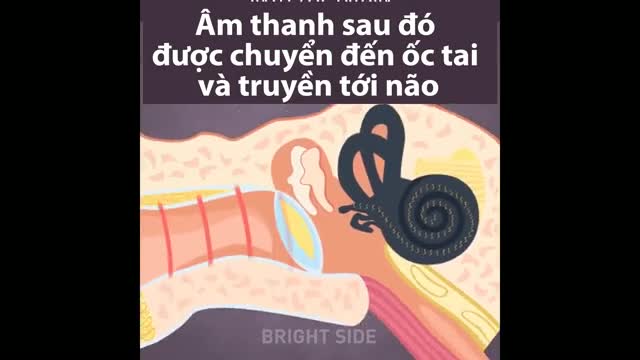Tác hại của việc đeo tai nghe thường xuyên