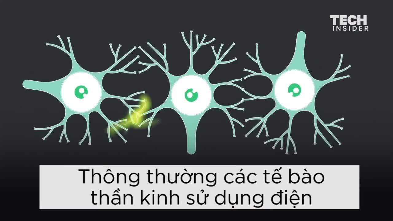 Tìm hiểu sức mạnh của súng điện với cơ thể và não bộ con người