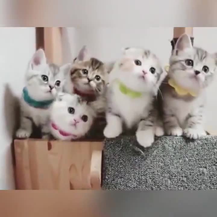 Đều tăm tắp!