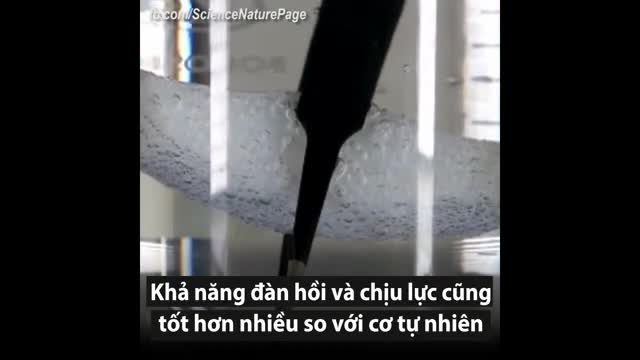 Cơ nhân tạo có thể nâng vật nặng gấp 1.000 lần