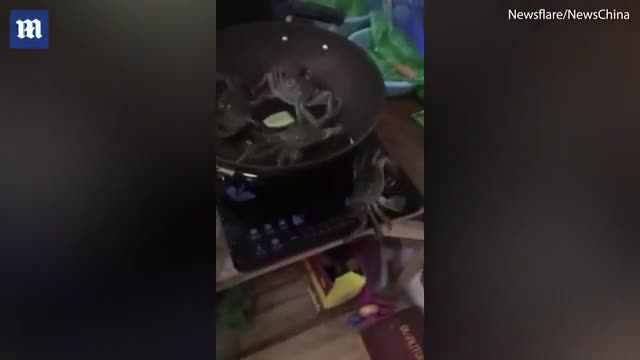 Cua vượt chảo dầu tắt bếp điện cứu đồng loại