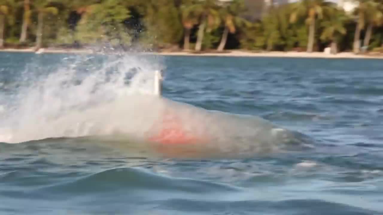 Trải nghiệm tàu lặn Seabreacher tại Miami