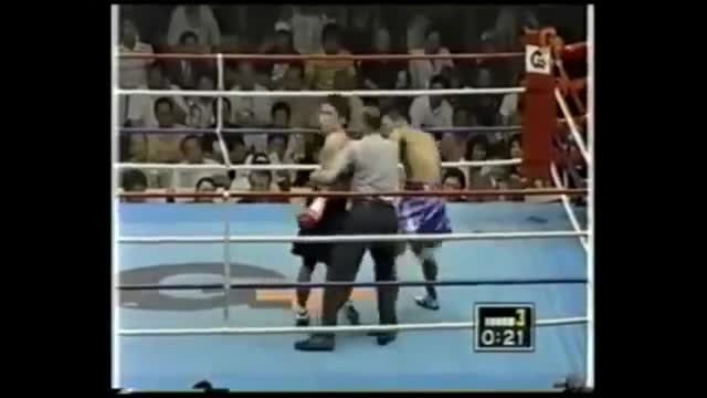 Trọng tài bị hạ knock out khi ngăn hai võ sĩ