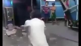 Điệu nhảy bọ ngựa