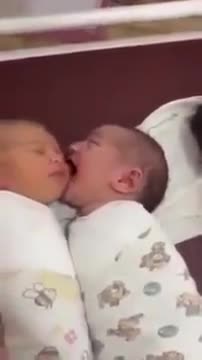 Hai bé thơm nhau mà thấy ghét