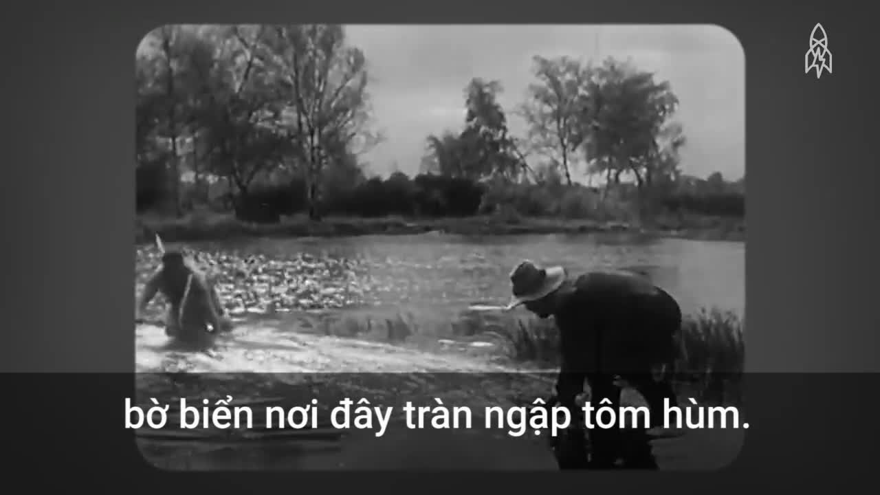 Tôm hùm từng là thức ăn của người nghèo