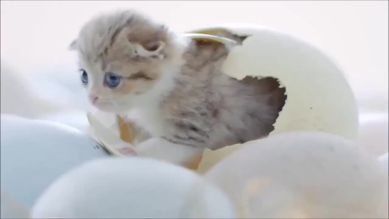 Trơi ơi, dễ thương không chịu nổi