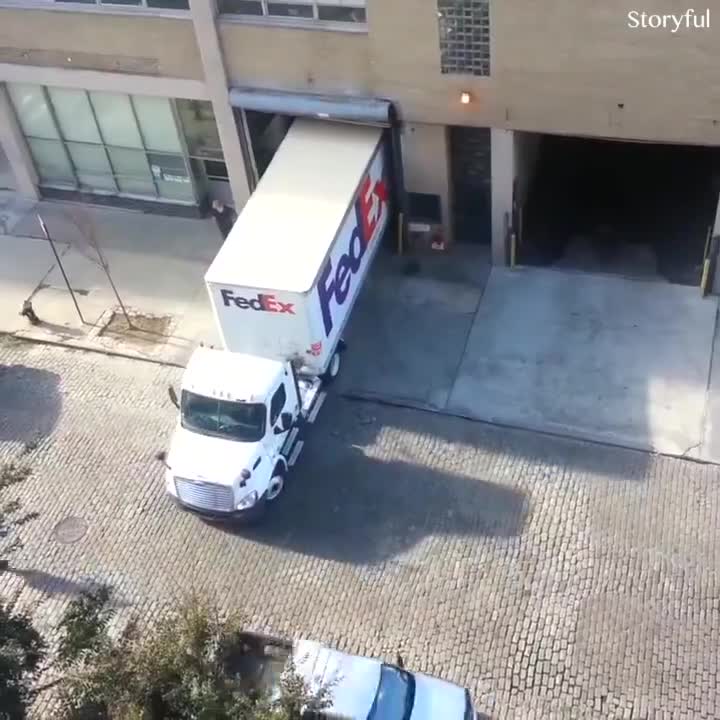 Họ đều là những lái xe quá lành nghề!