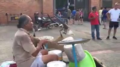 Ngưỡng mộ cụ quá! Rất sáng tạo rất tài năng 