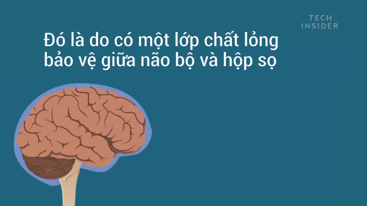 Điều gì xảy ra với não bộ khi bạn bị đập vào đầu?