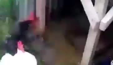 Gà cũng cậy đông bắt nạt yếu 