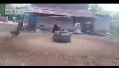Giờ mới hiểu thế nào là món "Gà chạy bộ"