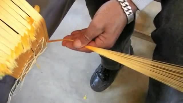  Tơ nhện vàng óng được chia thành nhiều cuộn