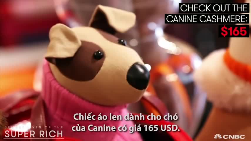 Cửa hiệu chăm sóc chó xa xỉ nhất nước Mỹ