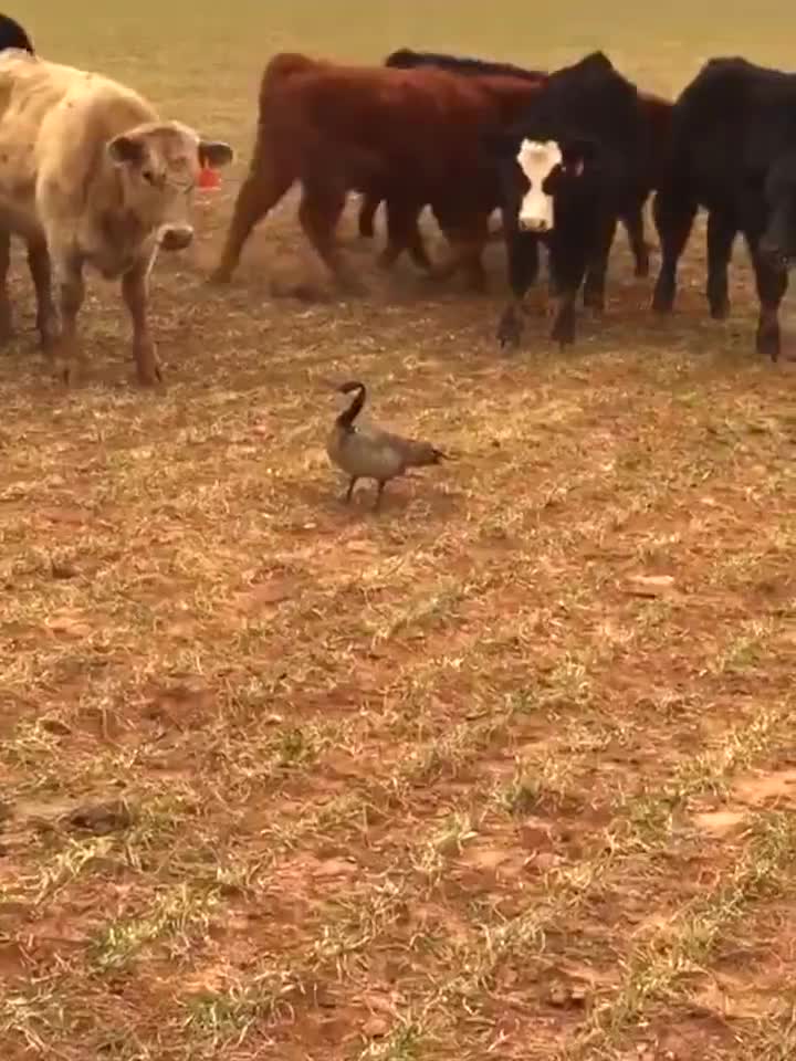 1 mình giữa đám đông