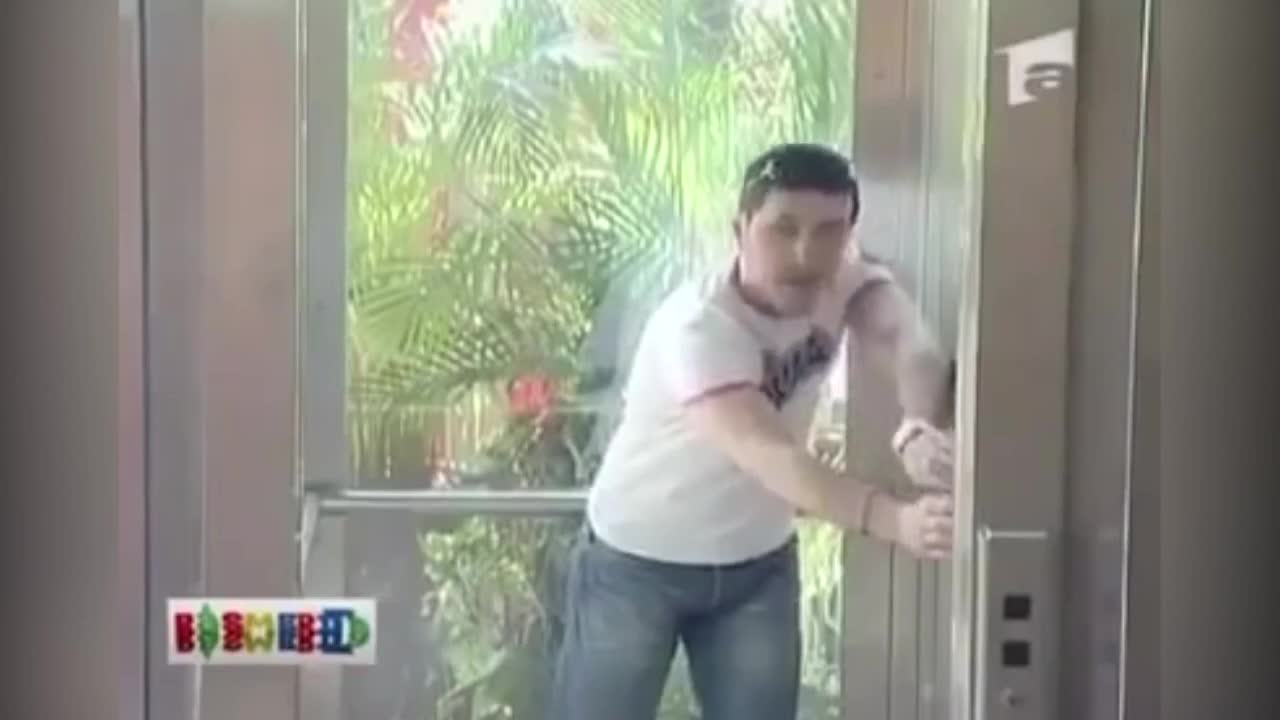 Tá hỏa vì gặp hổ dữ khi đi thang máy