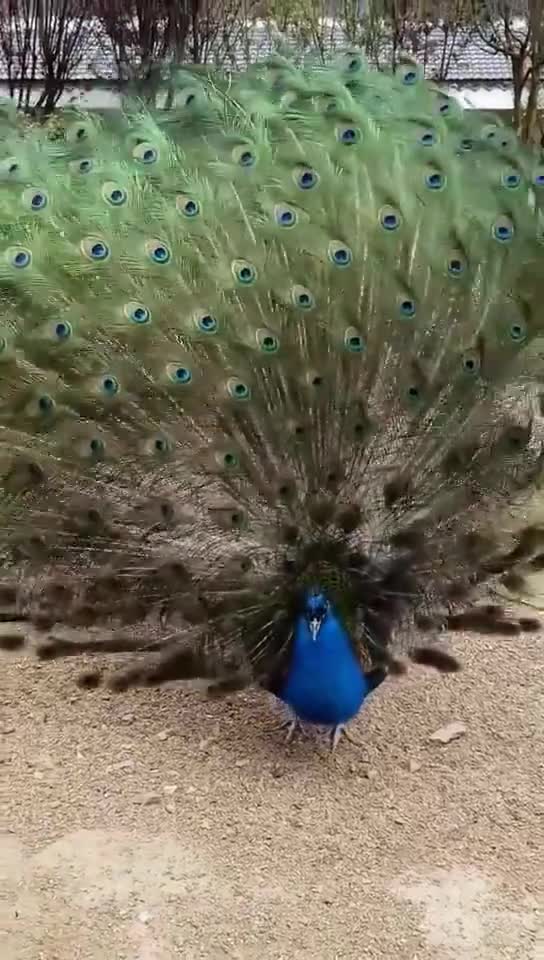 Đẹp quá đi thôi!