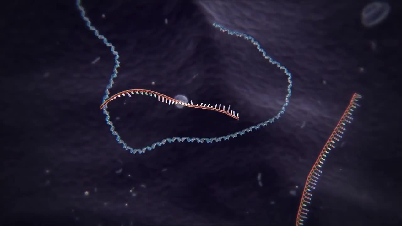 Video mô phỏng lại quá trình CRISPR Cas9 cắt ghép DNA