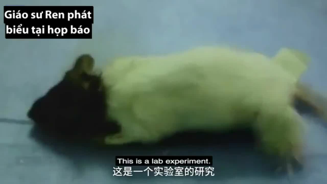 Giáo sư Ren phát biểu tại buổi họp báo