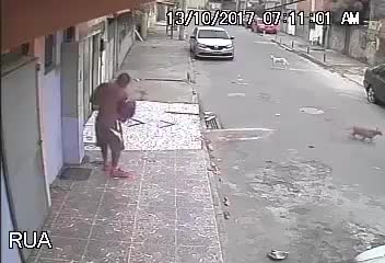 Khi Các Chú Chó Chơi Khăm Con Người