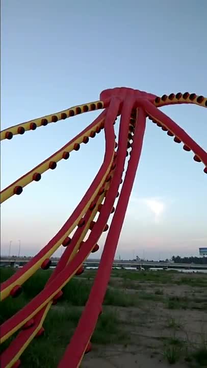 Diều bạch tuộc khổng lồ 