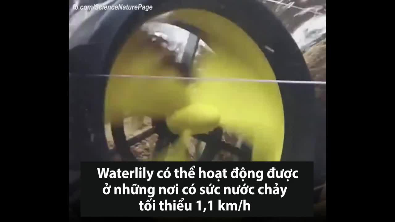 Thiết bị sạc điện thoại bằng gió và nước