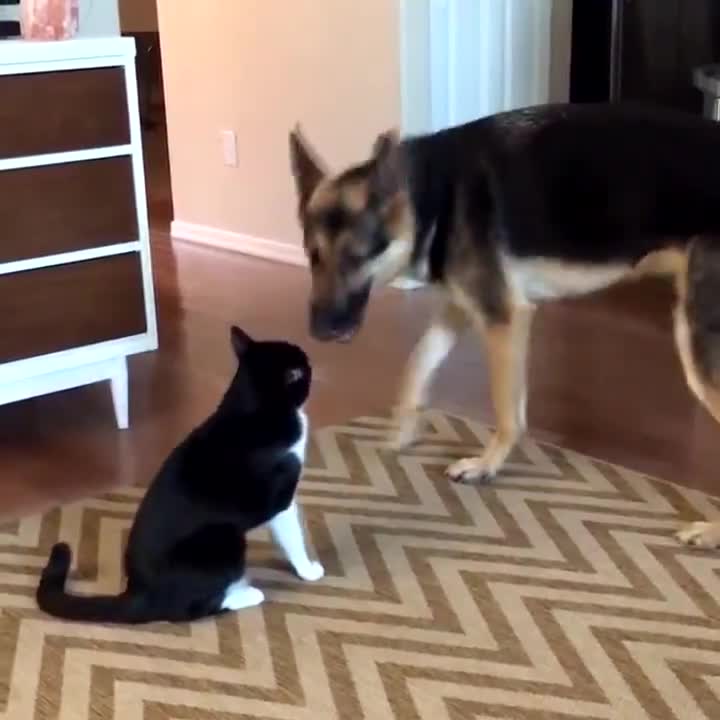 Đừng có đùa với tôi