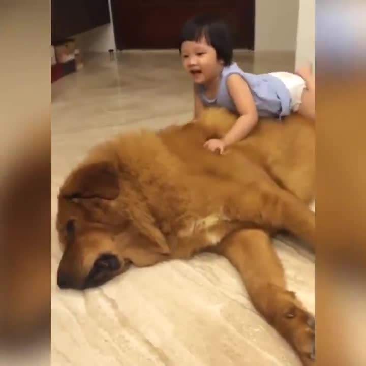 Chú chó này thật là kiên nhẫn! Trông em với chú chó cũng hợp đấy nhỉ!