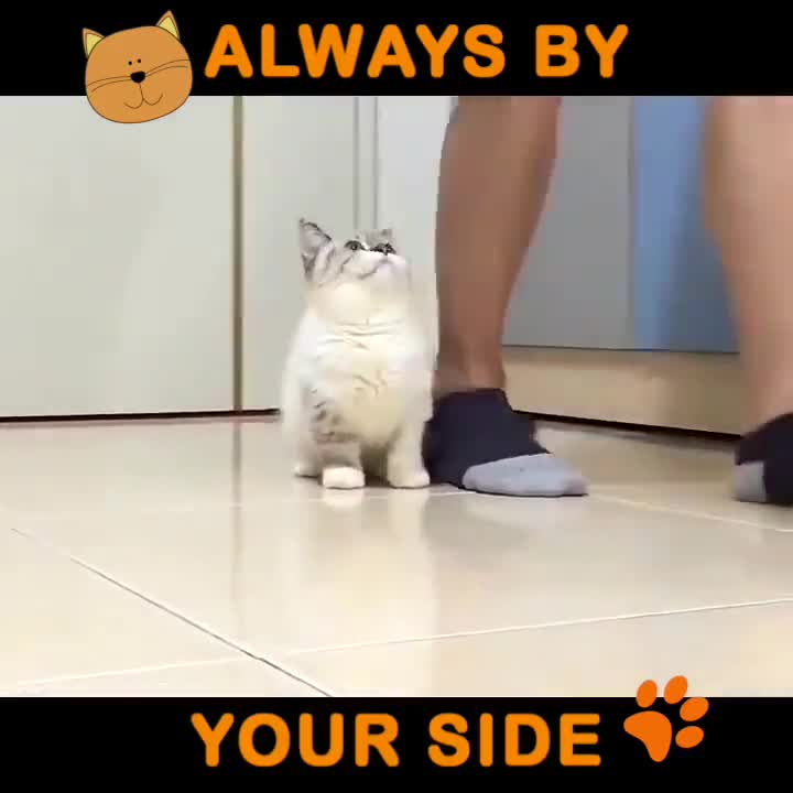 Như hình với bóng!