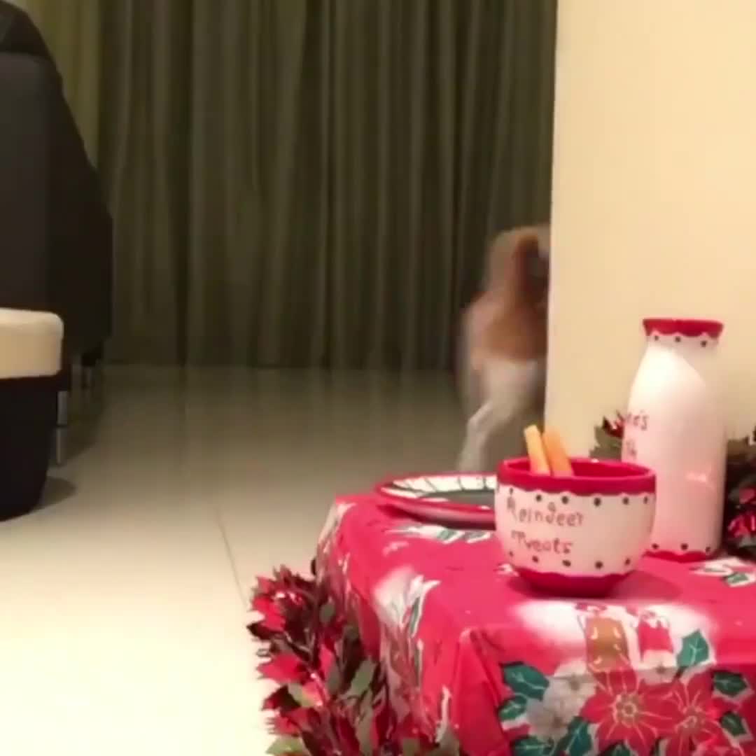 Noel đã đến rồi!