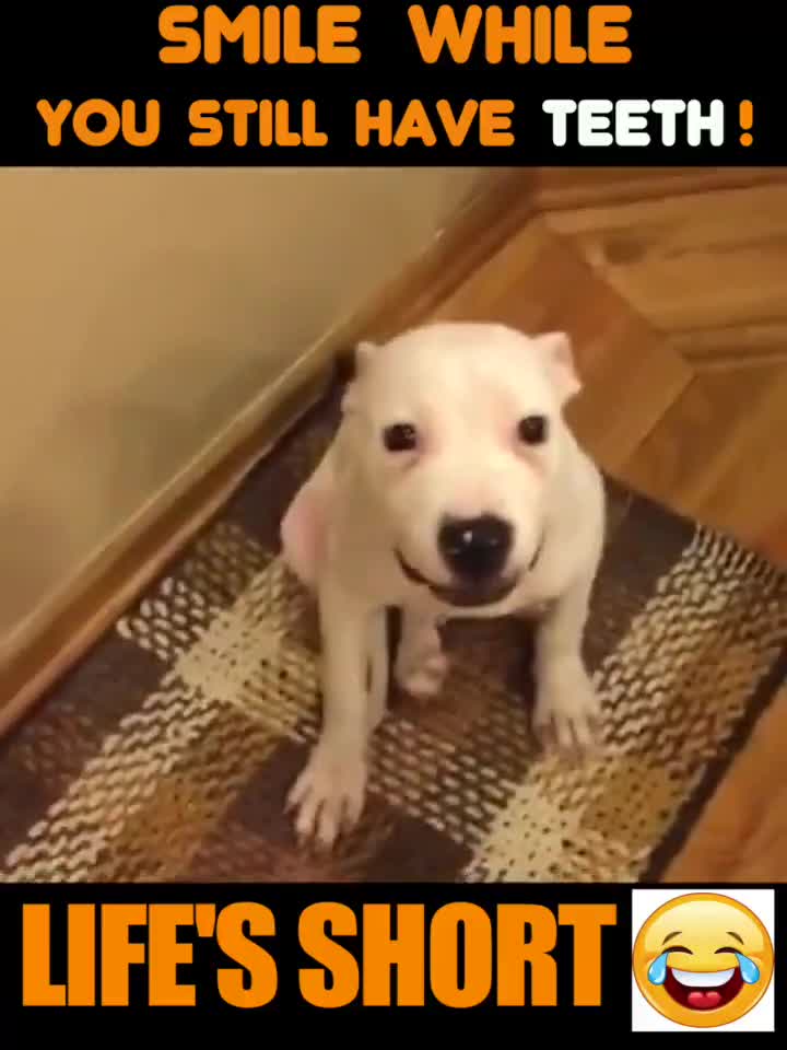Dù cuộc sống thế nào thì cũng hãy vui cười nhé!