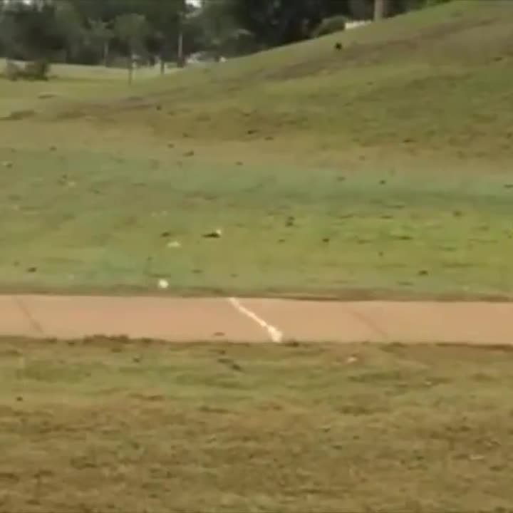 Chơi đùa với bóng golf!