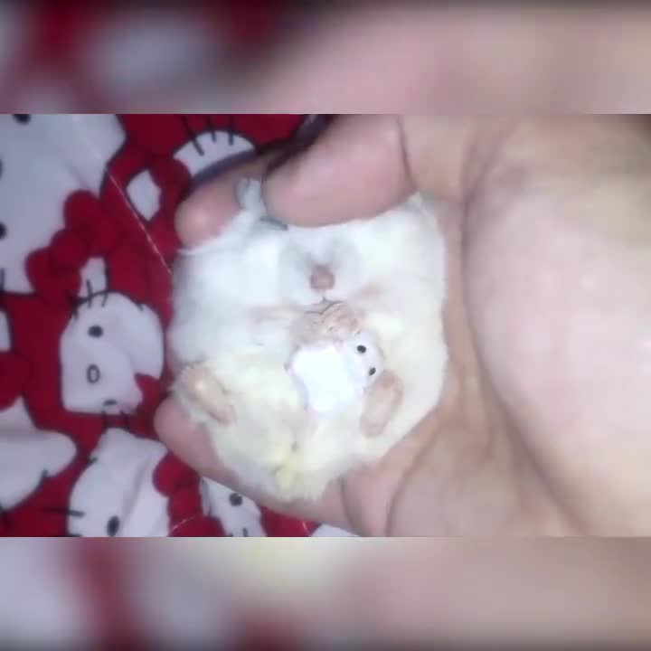 Em nó đáng yêu quá!