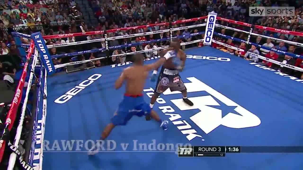 Những cú knock out tốt nhất năm 2017